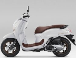 “Honda Scoopy Terbaru Meluncur, Makin Stylish dengan Pilihan Warna Anyar: Apakah Ini Waktu untuk Membeli?”