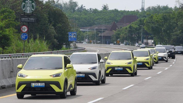**Penjualan Mobil Listrik di RI Tembus 82.525 Unit, Ini 10 Model Terlaris**