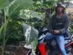 Momen Kocak Pemotor Pura-pura Beli Kembang Usai Keciduk Lawan Arah – Kisah Nyata dari Jalan Raya